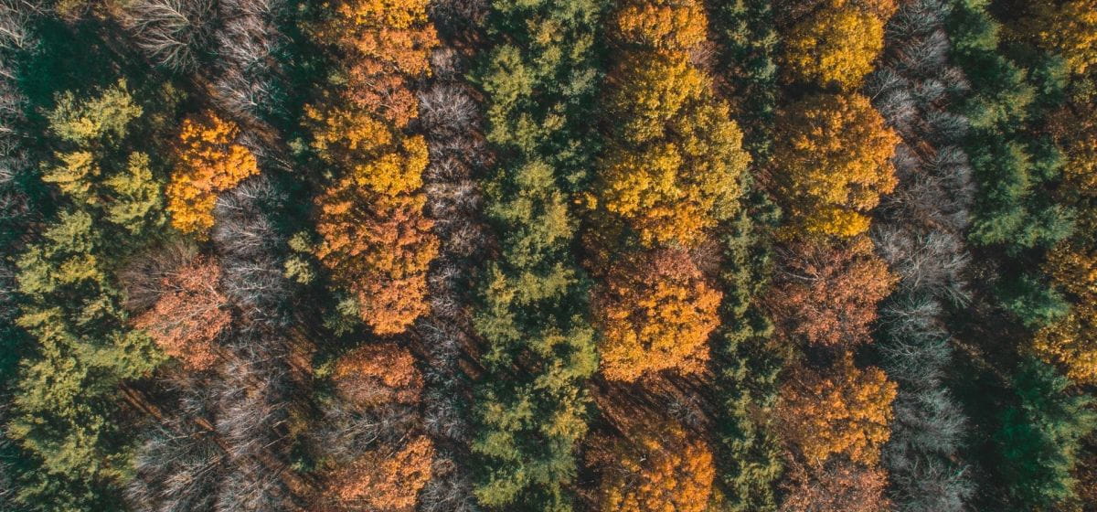 On Conservation